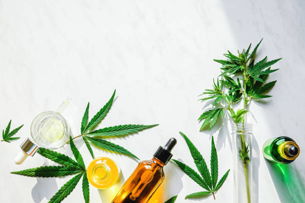 How CBD Cream Works to Alleviate Pain Mechanisms and Benefits