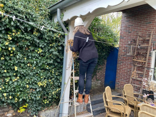 Reliable Vacuum Gutter Cleaning Melbourne Homeowners Can Trust